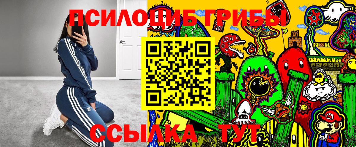Псилоцибиновые грибы MAGIC MUSHROOMS Туапсе