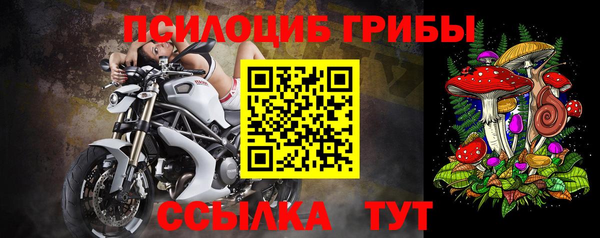 купить наркоту  Галлюциногенные грибы Psilocybe  Вход с VPN  Туапсе 
